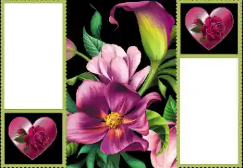 Foto effect van de categorie Fotolijsten voor verliefden № 191665