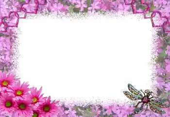 Foto effect van de categorie Fotolijsten voor verliefden № 191697