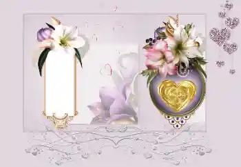 Foto effect van de categorie Fotolijsten voor verliefden № 191711