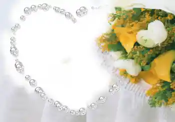 Foto effect van de categorie Fotolijsten voor verliefden № 2856