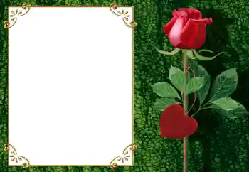 Foto effect van de categorie Fotolijsten voor verliefden № 34006 Foto effect van de categorie Fotolijsten voor verliefden № 34006