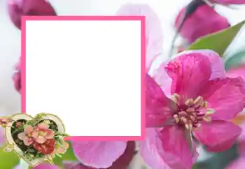 Foto effect van de categorie Fotolijsten voor verliefden № 43593 Foto effect van de categorie Fotolijsten voor verliefden № 43593