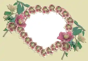 Foto effect van de categorie Fotolijsten voor verliefden № 49524 Foto effect van de categorie Fotolijsten voor verliefden № 49524