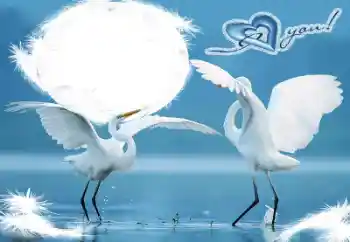 Opschrift op de lijst: I love you! Opschrift op de lijst: I love you!