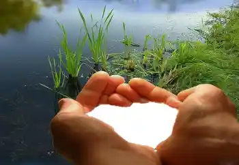 Foto effect van de categorie Fotolijsten voor verliefden № 67019 Foto effect van de categorie Fotolijsten voor verliefden № 67019