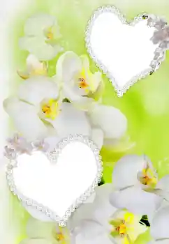 Foto effect van de categorie Fotolijsten voor verliefden № 91900 Foto effect van de categorie Fotolijsten voor verliefden № 91900