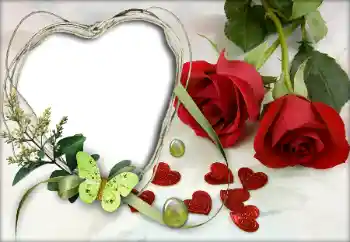 Foto effect van de categorie Fotolijsten voor verliefden № 9605