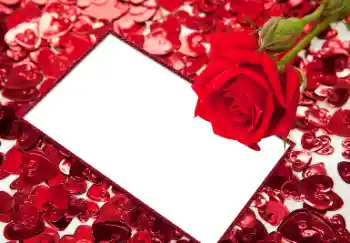 Foto effect van de categorie Fotolijsten voor verliefden № 96066 Foto effect van de categorie Fotolijsten voor verliefden № 96066