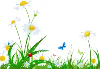 Opschrift op de lijst: Gelukkige Vrouwensdag! Opschrift op de lijst: Gelukkige Vrouwensdag!