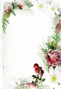 Opschrift op de lijst: Gelukkige Vrouwensdag!