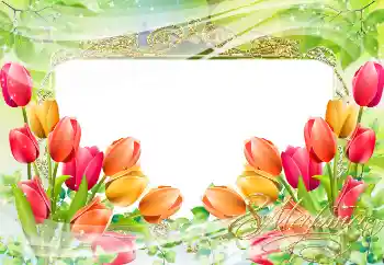 Opschrift op de lijst: 8 maart Opschrift op de lijst: 8 maart