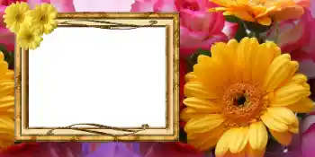 Foto effect van de categorie Kaarten voor de Vrouwendag № 42675 Foto effect van de categorie Kaarten voor de Vrouwendag № 42675