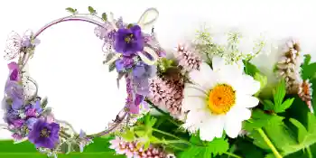 Foto effect van de categorie Kaarten voor de Vrouwendag № 42739 Foto effect van de categorie Kaarten voor de Vrouwendag № 42739