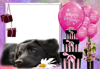 Opschrift op de lijst: Happy Birthday!