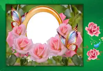 Opschrift op de lijst: Happy anniversary!