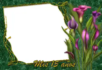 Opschrift op de lijst: Gelukkige Verjaardag!