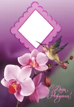 Opschrift op de lijst: Gelukkige Verjaardag!