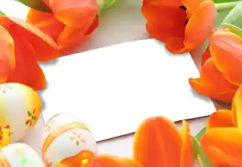 Foto effect van de categorie Paaskaarten № 93170