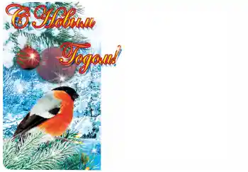 Foto effect van de categorie Nieuwjaarskaarten № 3766. Opschrift op de lijst: Gelukkig Nieuwjaar!
