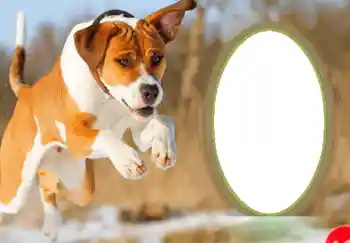 Foto effect van de categorie Nieuwjaarskaarten № 68755. Opschrift op de lijst: Gelukkig Nieuwjaar! Foto effect van de categorie Nieuwjaarskaarten № 68755. Opschrift op de lijst: Gelukkig Nieuwjaar!