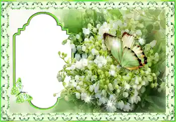 Foto effect van de categorie Verschillende feesten № 116188. Opschrift op de lijst: Gefeliciteerd!