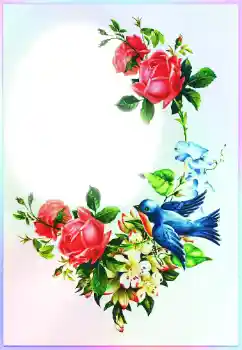 Foto effect van de categorie Verschillende feesten № 116213. Opschrift op de lijst: Gefeliciteerd!