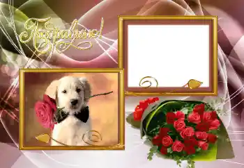 Foto effect van de categorie Verschillende feesten № 153066. Opschrift op de lijst: Gefeliciteerd! Foto effect van de categorie Verschillende feesten № 153066. Opschrift op de lijst: Gefeliciteerd!