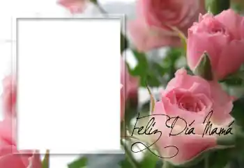 Foto effect van de categorie Verschillende feesten № 60152. Opschrift op de lijst: Gelukkige moedersdag! Foto effect van de categorie Verschillende feesten № 60152. Opschrift op de lijst: Gelukkige moedersdag!