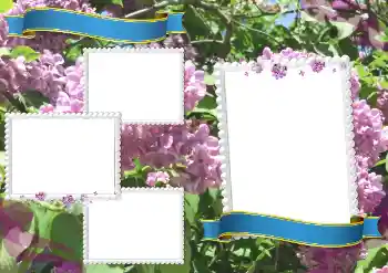Foto effect van de categorie Verschillende school fotoalbums № 205334 Foto effect van de categorie Verschillende school fotoalbums № 205334