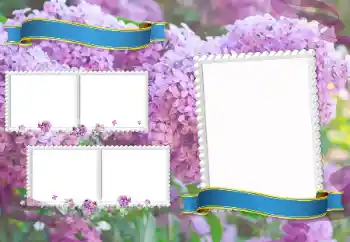 Foto effect van de categorie Verschillende school fotoalbums № 205350 Foto effect van de categorie Verschillende school fotoalbums № 205350