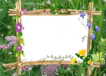Foto effect van de categorie Zomer № 1001