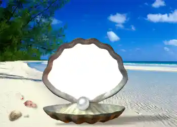 Foto effect van de categorie Zomer № 1111