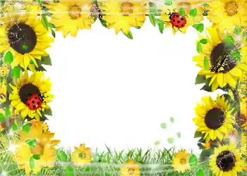 Foto effect van de categorie Zomer № 1113