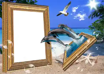 Foto effect van de categorie Zomer № 1116