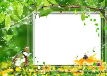 Foto effect van de categorie Zomer № 1117