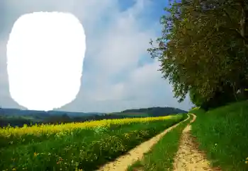 Foto effect van de categorie Zomer № 114551 Foto effect van de categorie Zomer № 114551