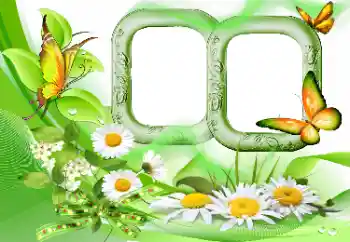 Foto effect van de categorie Zomer № 115844 Foto effect van de categorie Zomer № 115844