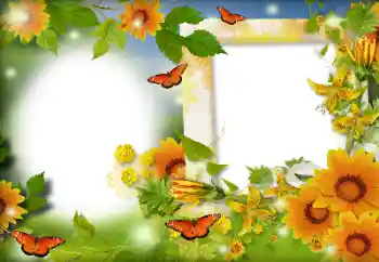 Foto effect van de categorie Zomer № 116126