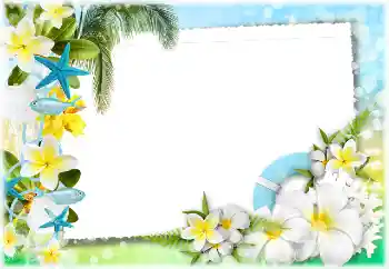 Foto effect van de categorie Zomer № 117734