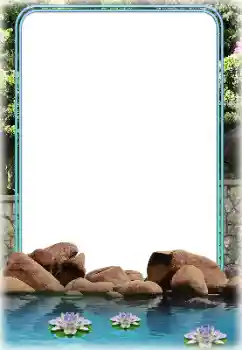 Foto effect van de categorie Zomer № 118898