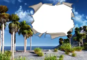 Foto effect van de categorie Zomer № 121107
