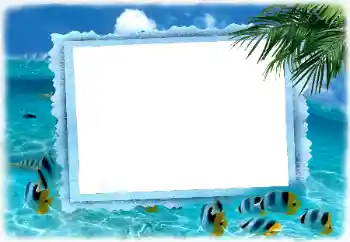 Foto effect van de categorie Zomer № 122185