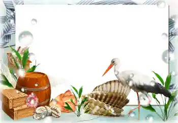 Foto effect van de categorie Zomer № 122189