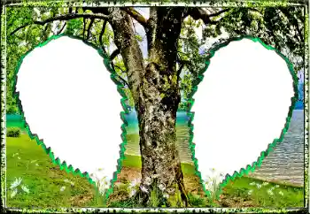 Foto effect van de categorie Zomer № 123182