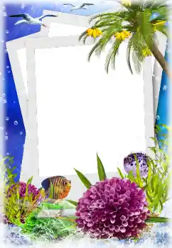 Foto effect van de categorie Zomer № 124280