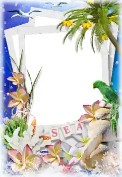 Foto effect van de categorie Zomer № 124282