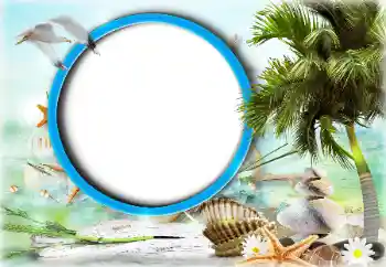 Foto effect van de categorie Zomer № 125919