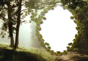Foto effect van de categorie Zomer № 130985