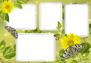 Foto effect van de categorie Zomer № 131450