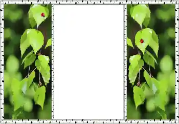 Foto effect van de categorie Zomer № 132875